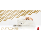 Dog Provital Accessories Advertising material Anifit 10 EUR Gutschein 1 Piece -2- Anifit